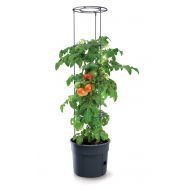 Donica 400mm do uprawy balkonowej pomidorów antracyt - Donica do uprawy pomidorów na balkonie - doniczka-na-pomidory-4.jpg